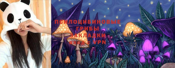 синтетический гашиш Пролетарск