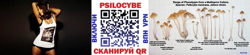 Псилоцибиновые грибы прущие грибы  Магнитогорск 